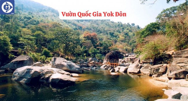 Khám phá con đường rừng trong Vườn Quốc Gia Yok Đôn, thiên nhiên hoang dã ở DakLak
