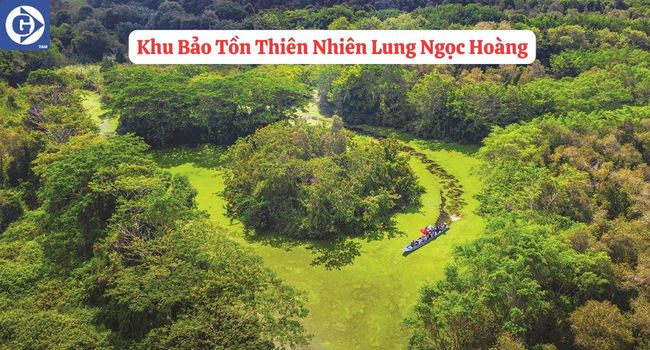 Khám Phá Rừng Tràm Chim Vị Thủy Hậu Giang Bằng Xuồng