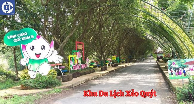 Khám phá rừng tràm Xẻo Quýt bằng xuồng ba lá