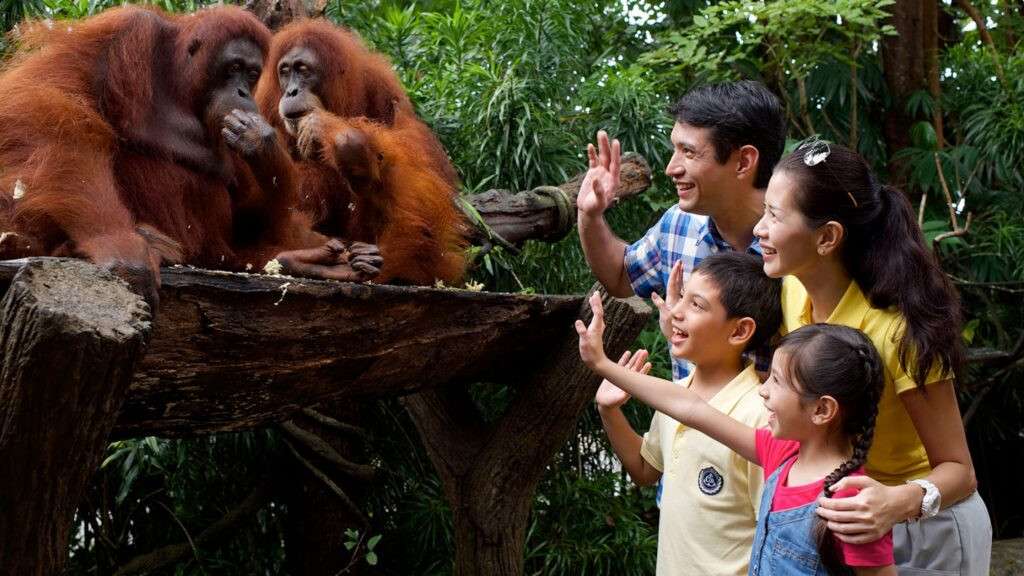 Khám phá thế giới động vật tại Sở thú Singapore an toàn