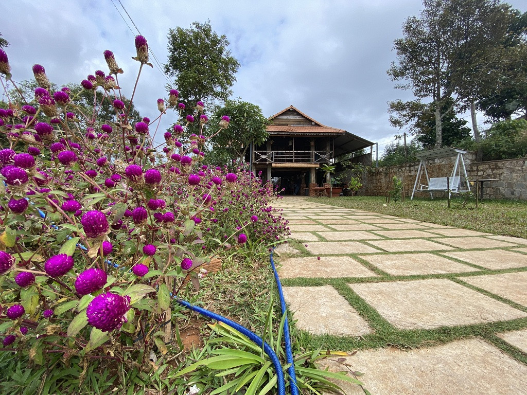 Không gian xanh mát tại một homestay nhà sàn khi du lịch Gia Lai