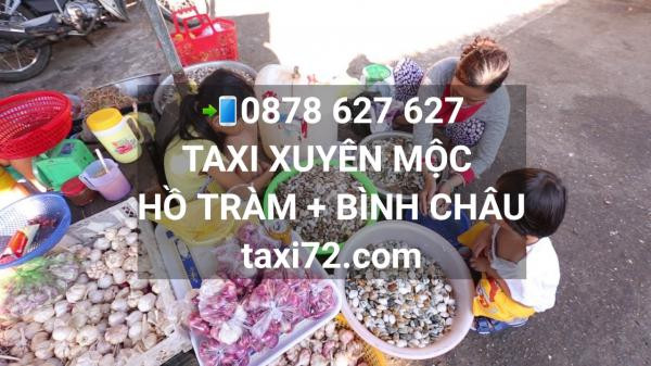 Khu rừng nguyên sinh Bình Châu với cây cối xanh tươi