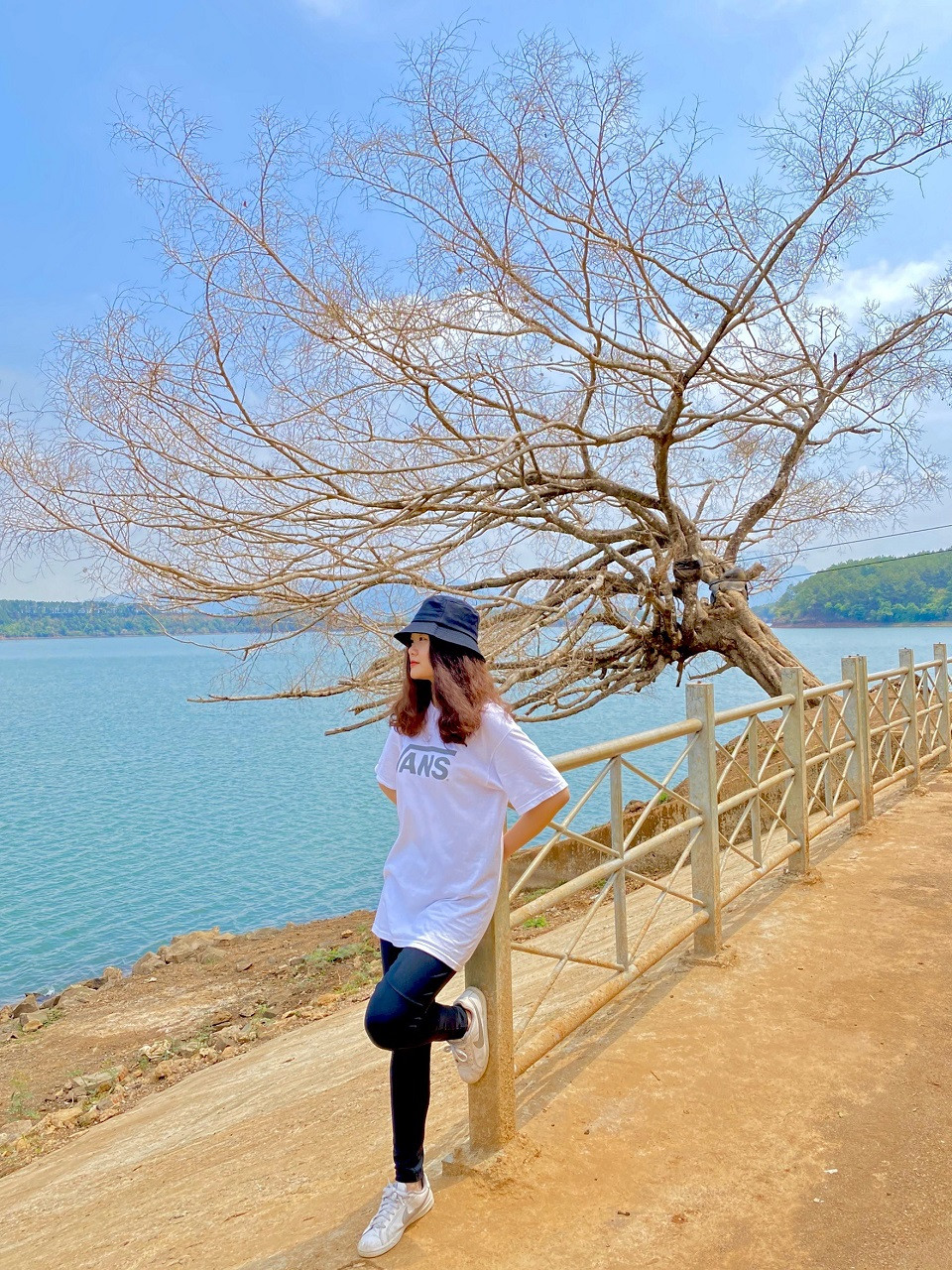 Khung cảnh cây cô đơn nổi tiếng bên Biển Hồ Tơ Nưng, Gia Lai