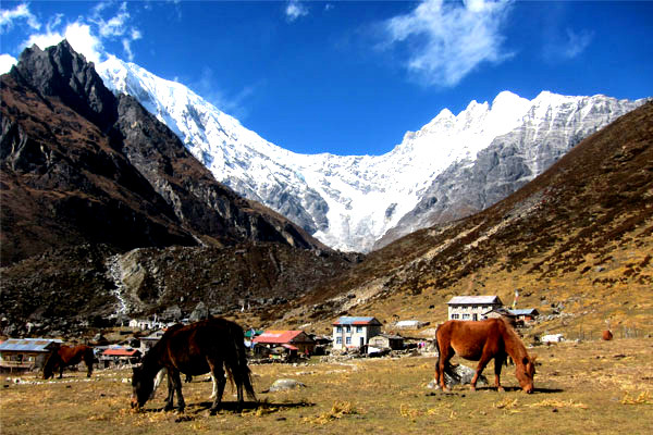 Khung cảnh dãy núi hùng vĩ tại thung lũng Langtang, Nepal, nơi khám phá an toàn cần chuẩn bị kỹ lưỡng