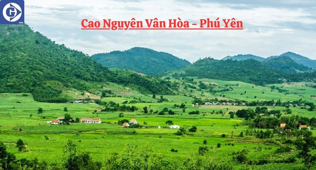 Khung cảnh đồi chè xanh mướt tại Cao Nguyên Vân Hòa, được mệnh danh Đà Lạt của Phú Yên