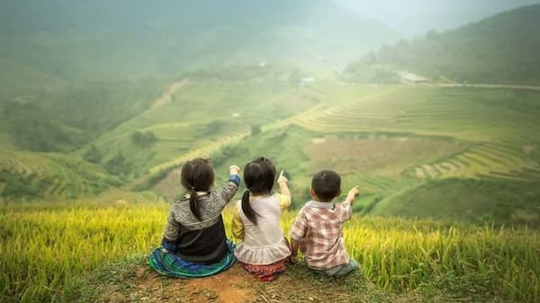 Khung cảnh homestay "sống ảo" tuyệt đẹp giữa ruộng bậc thang và núi non hùng vĩ tại miền núi phía Bắc