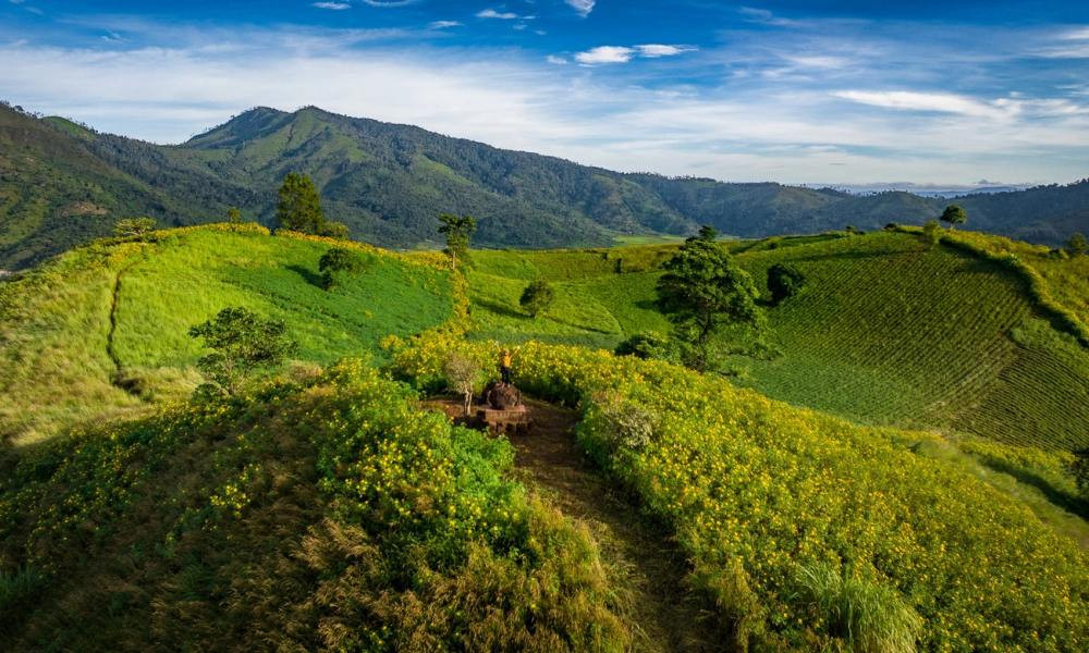 Khung cảnh nên thơ của núi lửa Chư Đăng Ya trong mùa hoa dã quỳ