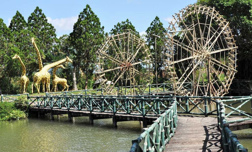 Khung cảnh non nước hữu tình tại khu vui chơi Công viên Đồng Xanh