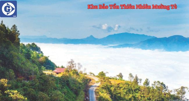 Khung cảnh rừng núi xanh mướt trong Khu bảo tồn Thiên nhiên Mường Tè