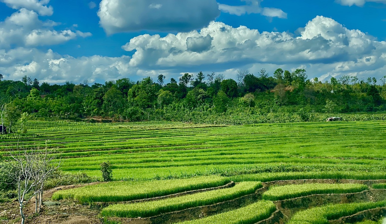 Lái xe an toàn khám phá ruộng bậc thang Chư Sê Gia Lai
