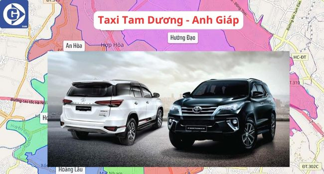 Lái xe Taxi Anh Giáp Tam Dương chuyên nghiệp