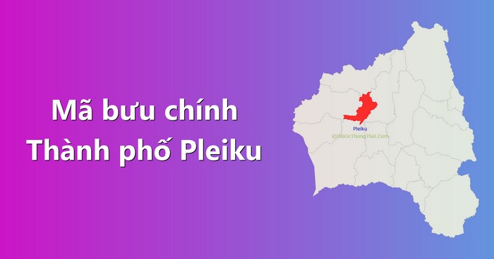 Khi gửi hồ sơ, hàng hóa,... về thành phố Pleiku, hãy nhập chính xác mã bưu chính phường/xã nơi nhận