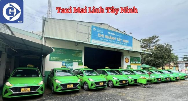 Màn hình ứng dụng đặt Taxi Mai Linh