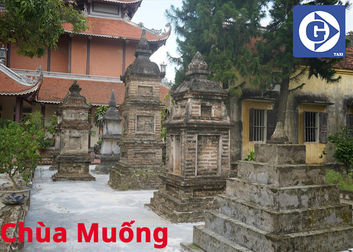 Ngôi chùa Muống cổ kính với cây đa trăm tuổi