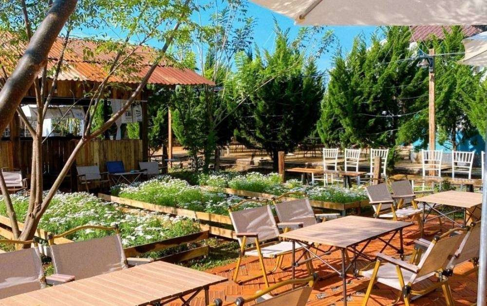 Nhiều góc chụp ảnh đẹp tại Cối Xay Gió Cafe