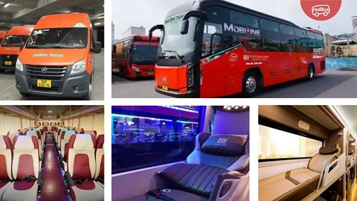 Nội thất tiện nghi bên trong xe khách Phương Trang