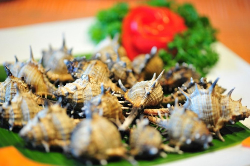 Ốc gai Phú Quốc - hương vị biển cả tươi ngon