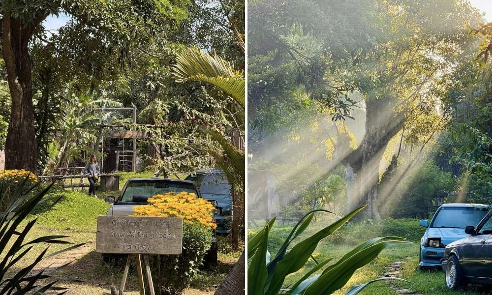 Paksong Farmstay Gia Lai được bao phủ bởi cây xanh, chim hót líu lo