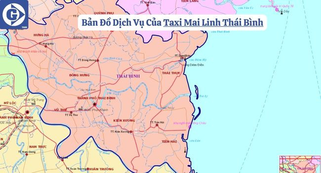 Phương tiện Taxi Mai Linh phục vụ khách hàng tại Thái Bình