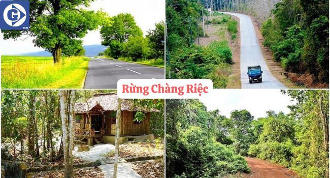 Rừng Chàng Riệc với vẻ đẹp hoang sơ và di tích lịch sử