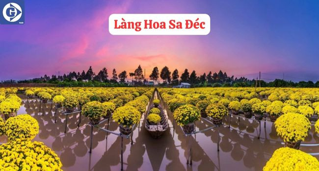 Sắc hoa rực rỡ tại Làng Hoa Sa Đéc