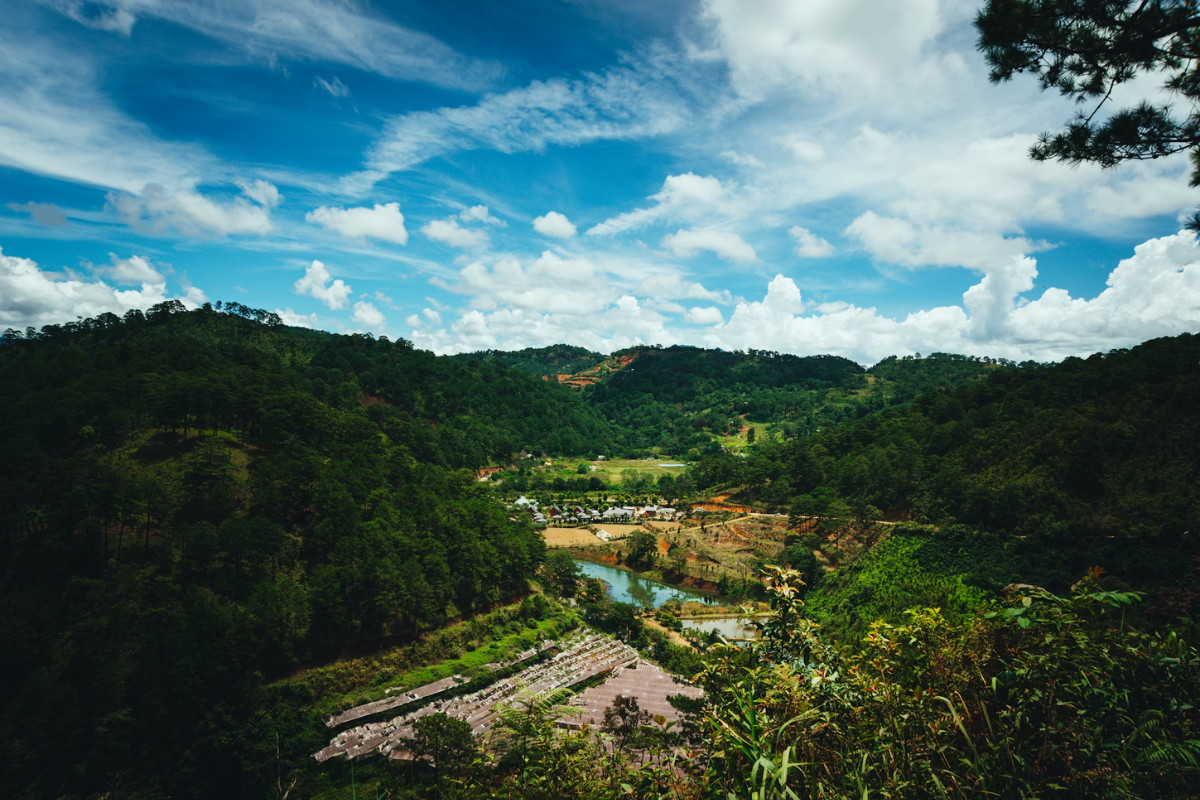 Sương sớm bao phủ những ngọn đồi xanh mướt tại vùng cao nguyên Lâm Đồng, tạo nên khung cảnh huyền ảo khi di chuyển bằng taxi phi nom lam dong
