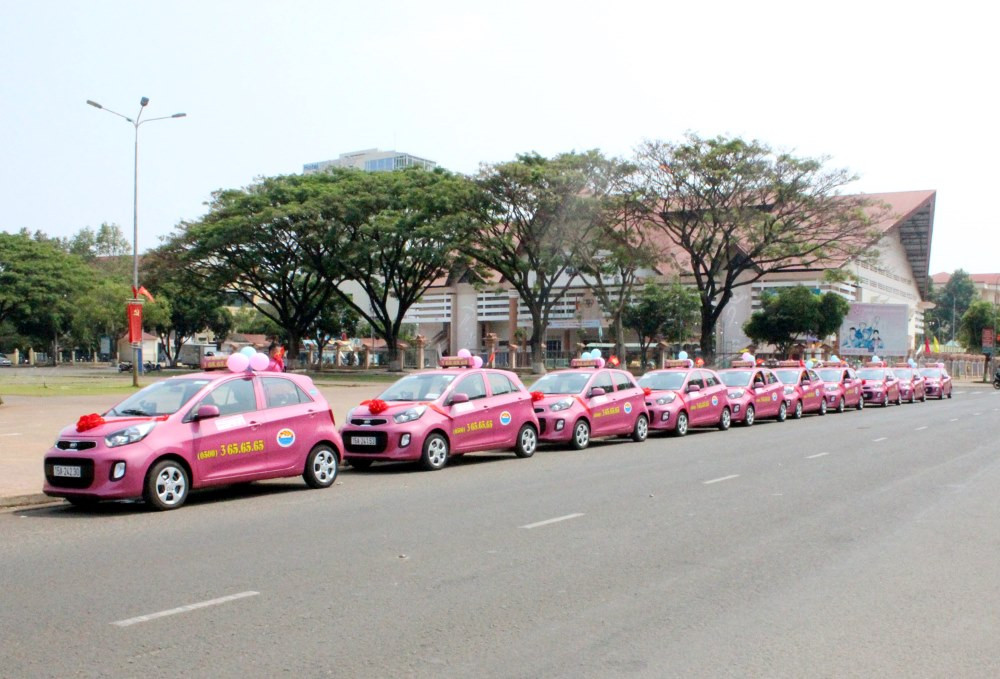 Taxi Hoàng Anh, đối thủ của taxi xanh SM Hải Phòng