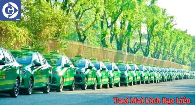 Taxi Mai Linh Bạc Liêu