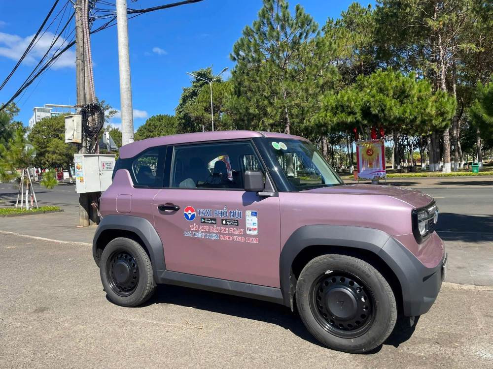 Taxi Phố Núi Gia Lai với dịch vụ đa dạng