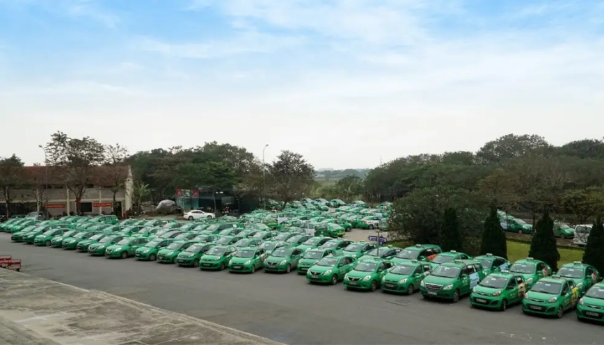Taxi Mai Linh xuất hiện phổ biến ở Quỳnh Lưu, Nghệ An