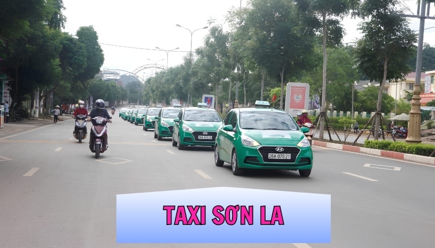 Taxi Sơn La Uy Tín Cho Hành Trình Tây Bắc