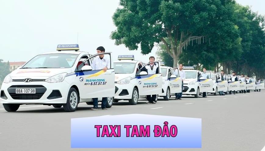 Taxi Tam Đảo Uy Tín Cho Chuyến Đi Nghỉ Dưỡng