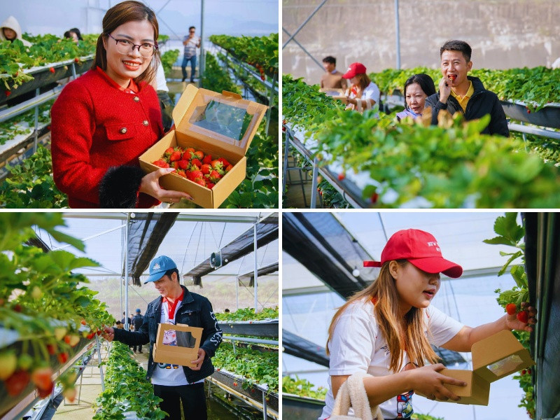 Tham quan khu vườn nông nghiệp hữu cơ ở Samten Hills Dalat