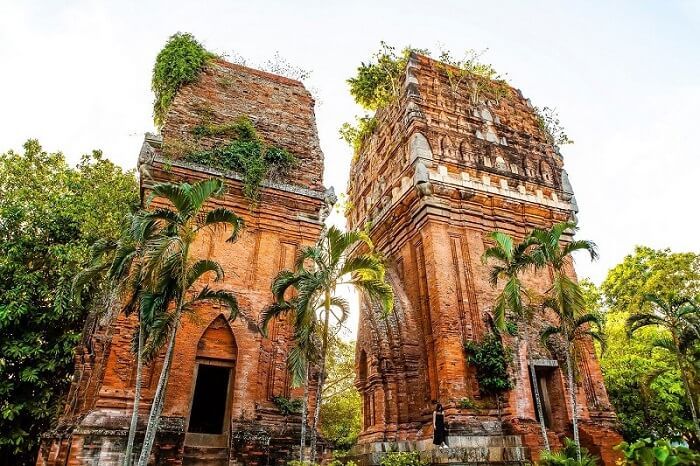 Tham quan vào sáng sớm để tận hưởng không khí trong lành