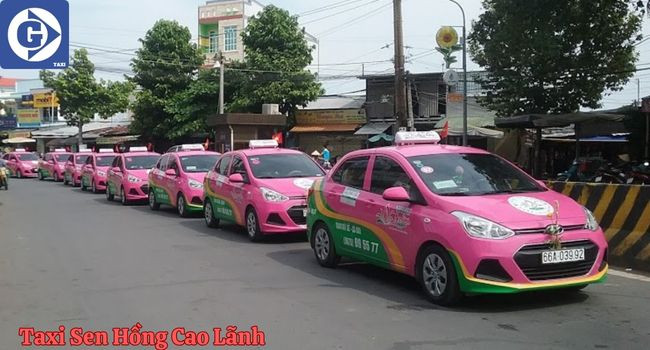 Thông tin trên màn hình điện thoại về chăm sóc xe