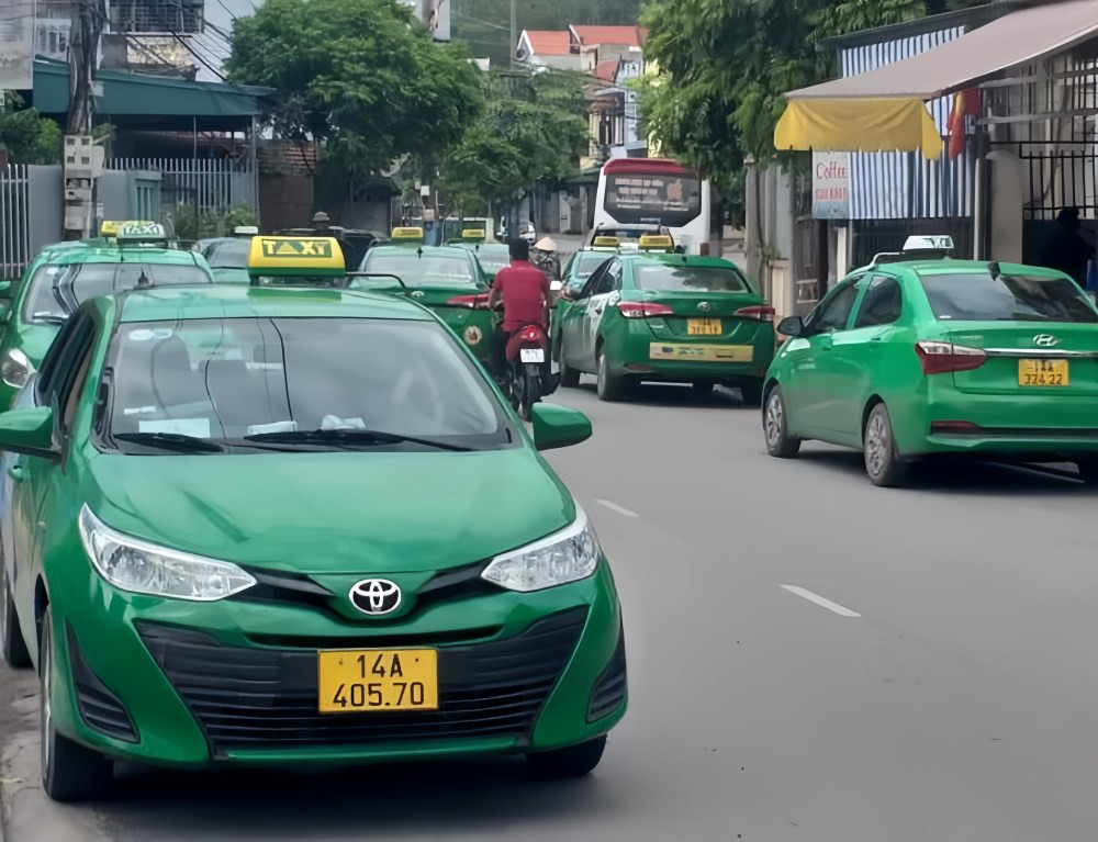 Thương hiệu Taxi Mai Linh, một lựa chọn uy tín tại Quảng Ninh