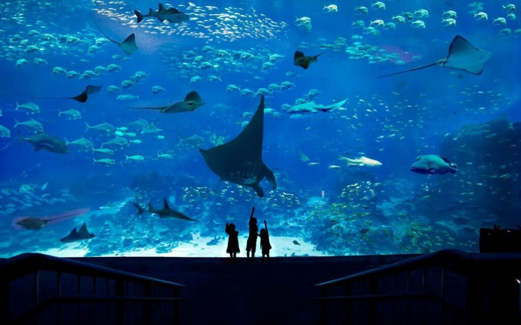 Thủy cung S.E.A. Aquarium điểm đến an toàn khi du lịch Singapore
