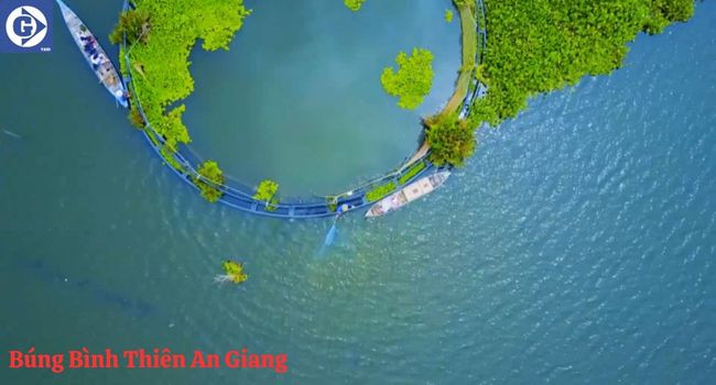 Toàn cảnh Búng Bình Thiên An Giang yên bình mùa nước nổi
