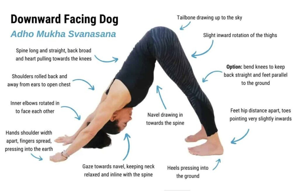 Tư thế Chó Úp Mặt (Downward Dog) giúp giãn toàn thân