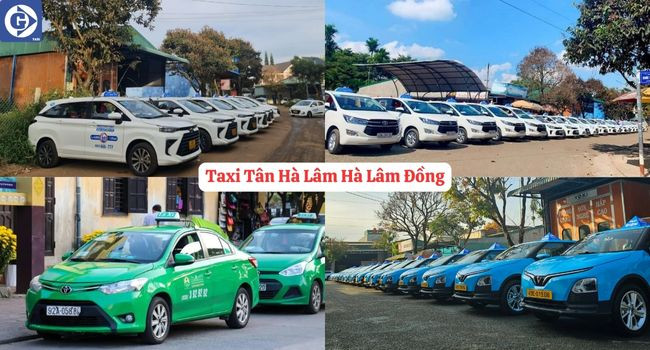 Ứng dụng đặt Taxi Tân Hà Lâm Hà Lâm Đồng trên điện thoại di động giúp đặt xe nhanh chóng