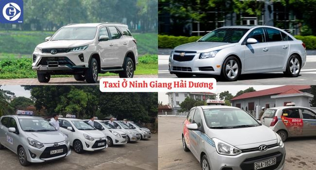 Ứng dụng đặt xe taxi Thuận Anh Ninh Giang tiện lợi trên điện thoại di động