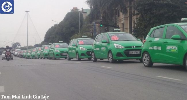 Ứng dụng di động tiện lợi để đặt Taxi Mai Linh Gia Lộc nhanh chóng