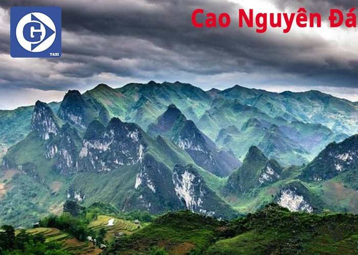 Vẻ đẹp kỳ vĩ của những khối đá tai mèo trên Cao nguyên đá Đồng Văn
