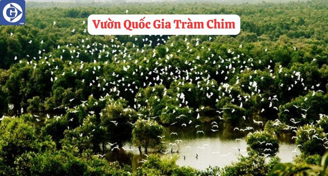 Vẻ đẹp sinh thái tại Vườn Quốc Gia Tràm Chim