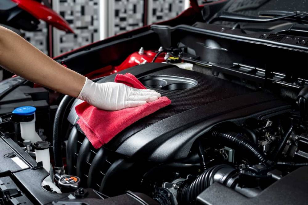 Vệ sinh nội thất xe hơi để phòng tránh chuột