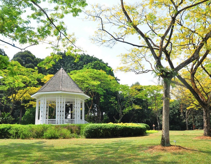 Vườn Bách thảo Singapore, di sản UNESCO cho gia đình
