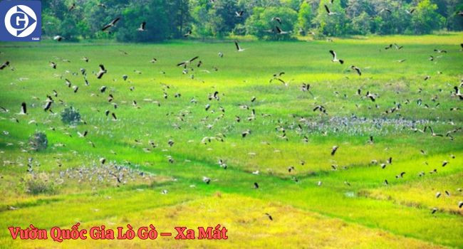 Vườn quốc gia Lò Gò – Xa Mát với hệ sinh thái rừng đa dạng