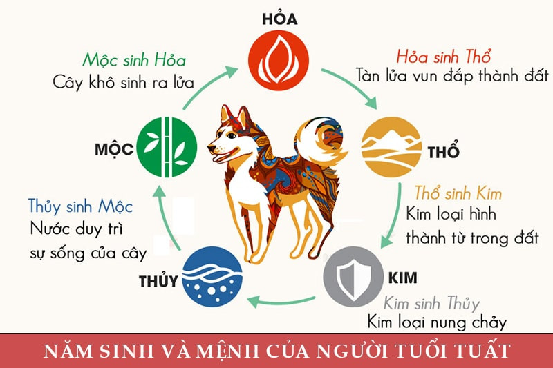 Xác định mệnh và năm sinh của người tuổi Tuất để chọn màu xe ô tô hợp phong thủy