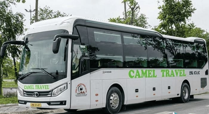 Nhà xe Gia Lai đi Nha Trang Camel Travel nổi bật với dịch vụ tiện ích, xe cao cấp, sang trọng