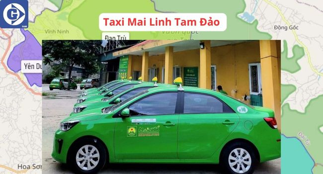 Xe taxi 4 chỗ màu xanh tại khu vực Tam Đảo